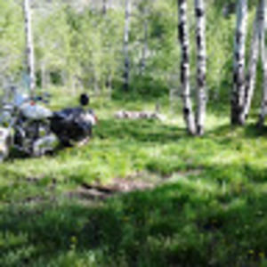 Meet your Posher, Rick